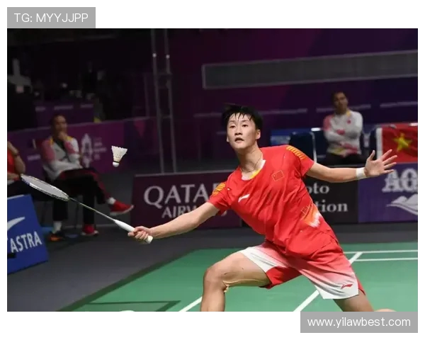 北京羽毛球队个人能力分析与发展策略探讨