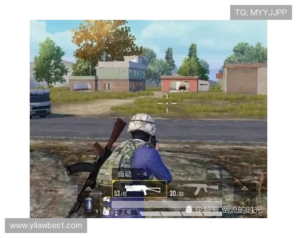 和平精英纪实：见证RNG战队从默默无闻到巅峰的奋斗历程